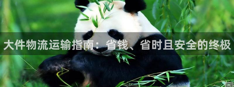 pc28圈怎么注册：大件物流运输指南