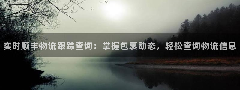28圈头像：实时顺丰物流跟踪查询：掌