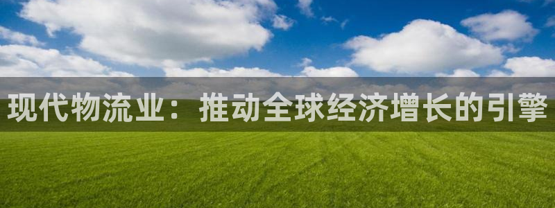 28圈加拿大是什么意思：现代物流业：