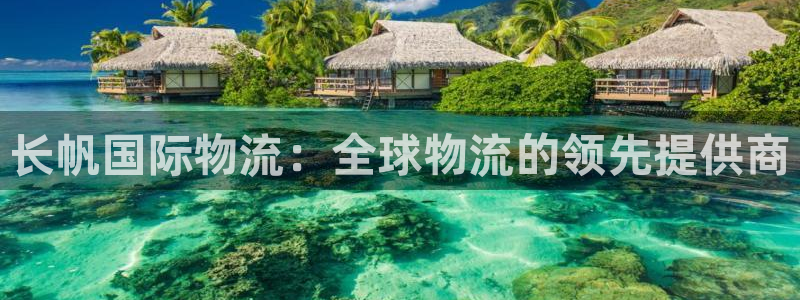 28圈官方版正版：长帆国际物流：全球