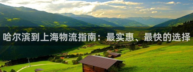28圈官网开奖结果预测查询