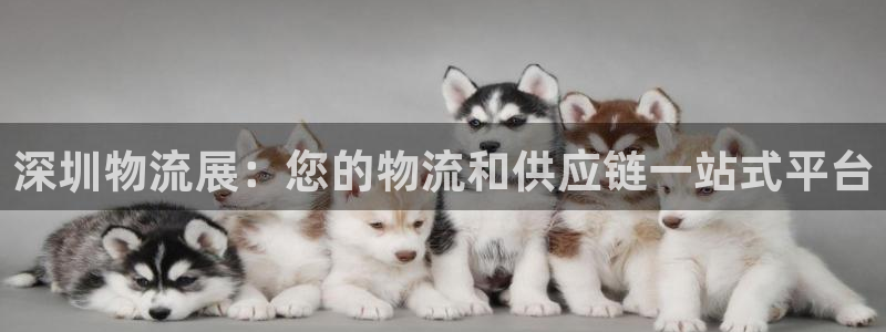 28圈软件堵什么反什么：深圳物流展：
