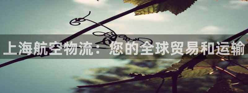 28圈机器人是什么软件