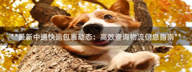 28圈aPP退款：**最新中通快运包