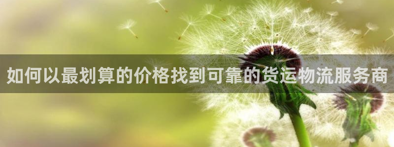28圈是正规平台吗