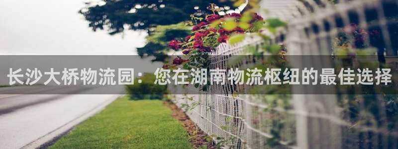 28圈怎么注册账号和密码：长沙大桥物