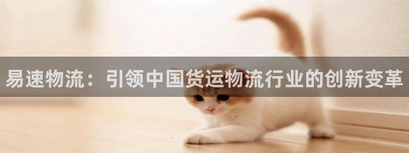 28圈预测