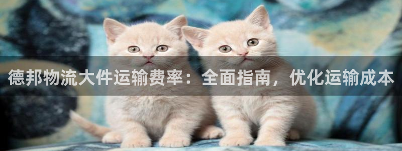 28圈.ccmapp