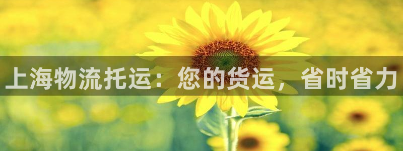 28圈账号注册：上海物流托运：您的货