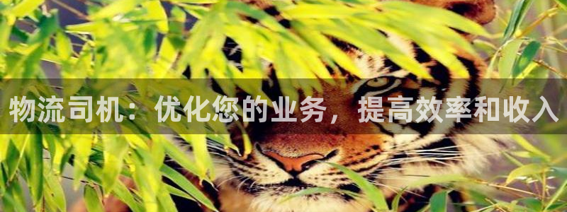 28圈旗下：物流司机：优化您的业务，