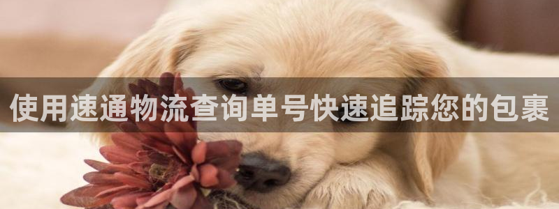 28圈注册上限是啥意思：使用速通物流