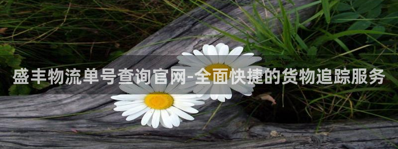 28圈在线预测官网