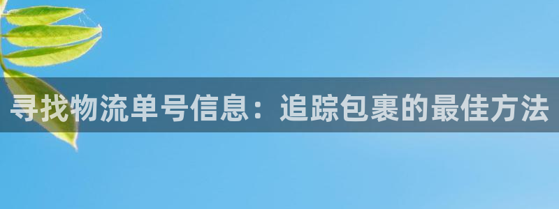 28圈娱乐官网网页入口：寻找物流单号