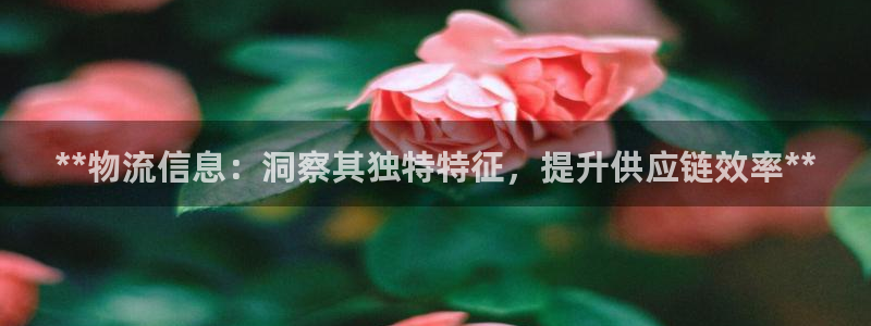 28圈官网网站