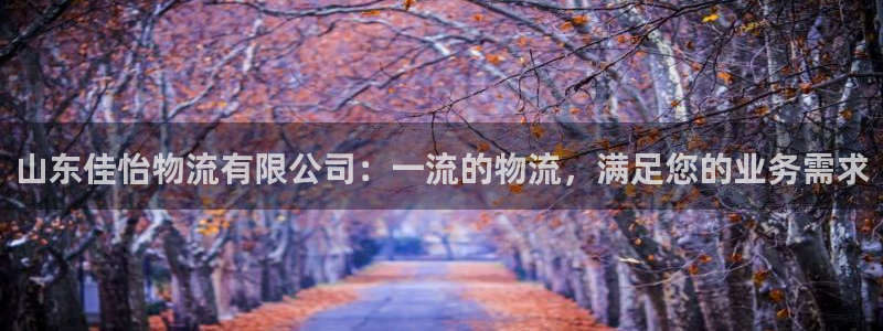 28圈能提现吗：山东佳怡物流有限公司：一流的物流，满足您的业