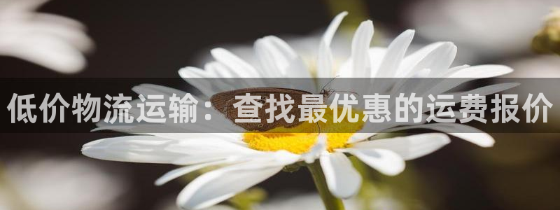 28圈人头费：低价物流运输：查找最优惠的运费报价