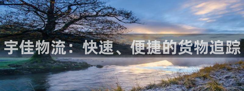 28圈充值不处理怎么办