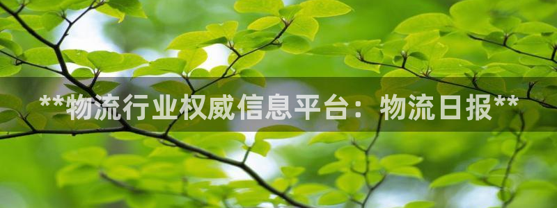 28圈起来的符号：**物流行业权威信