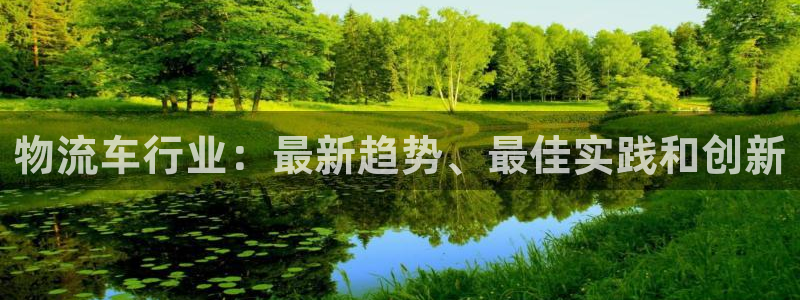 28圈注册网站多少钱一个：物流车行业