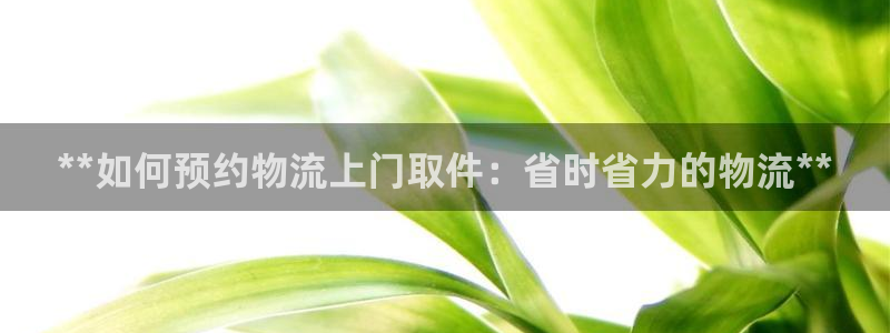 28圈电子：**如何预约物流上门取件