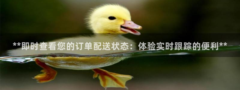 南宫28圈怎么注册：**即时查看您的