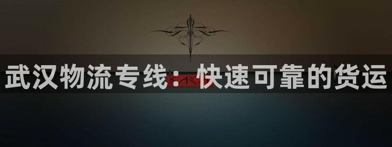 28圈软件：武汉物流专线：快速可靠的