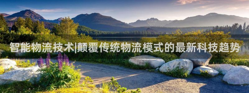 28圈加拿大最新版：智能物流技术|颠覆传统物流模式的最新科技