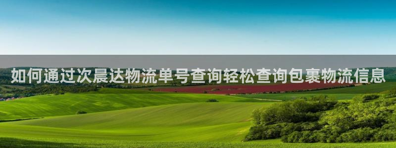 28圈注册步骤：如何通过次晨达物流单