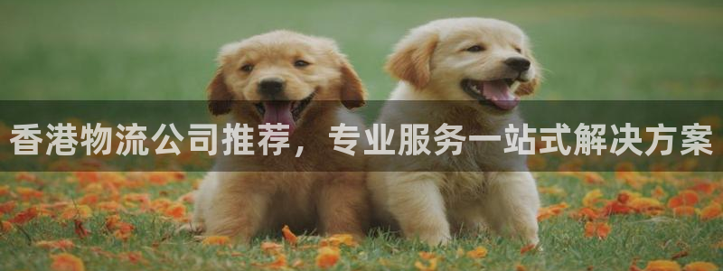 28圈cn：香港物流公司推荐，专业服务一站式解决方案