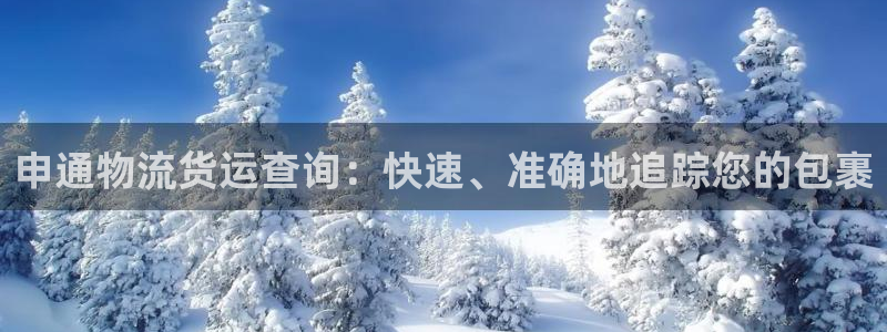 28圈怎么注册游戏名字：申通物流货运