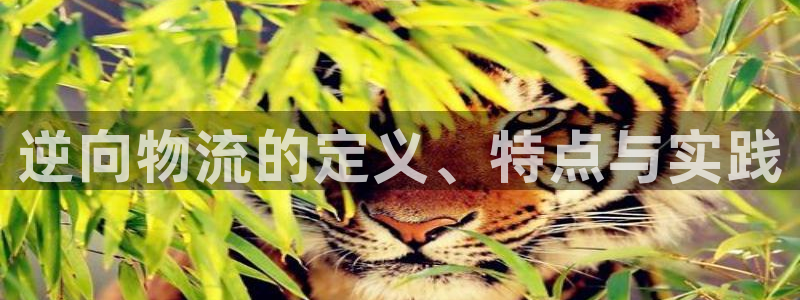 28圈不给提现：逆向物流的定义、特点