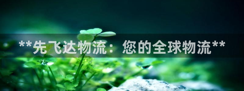 28圈软件是什么：**先飞达物流：您