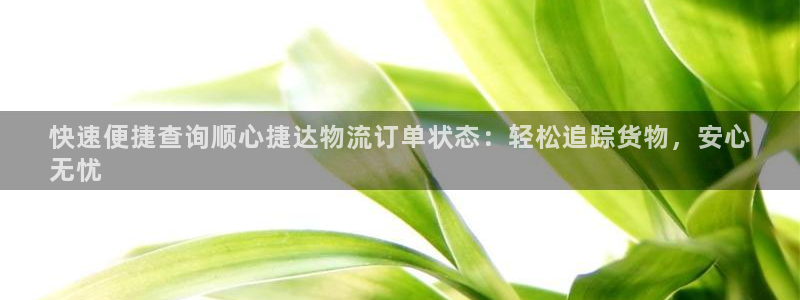 28圈注册送：快速便捷查询顺心捷达物