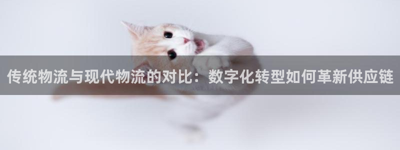 28圈注册入口与教程：传统物流与现代