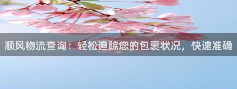 28圈软件堵什么反什么：顺风物流查询