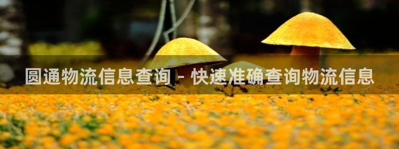 28圈登录不上咋回事：圆通物流信息查